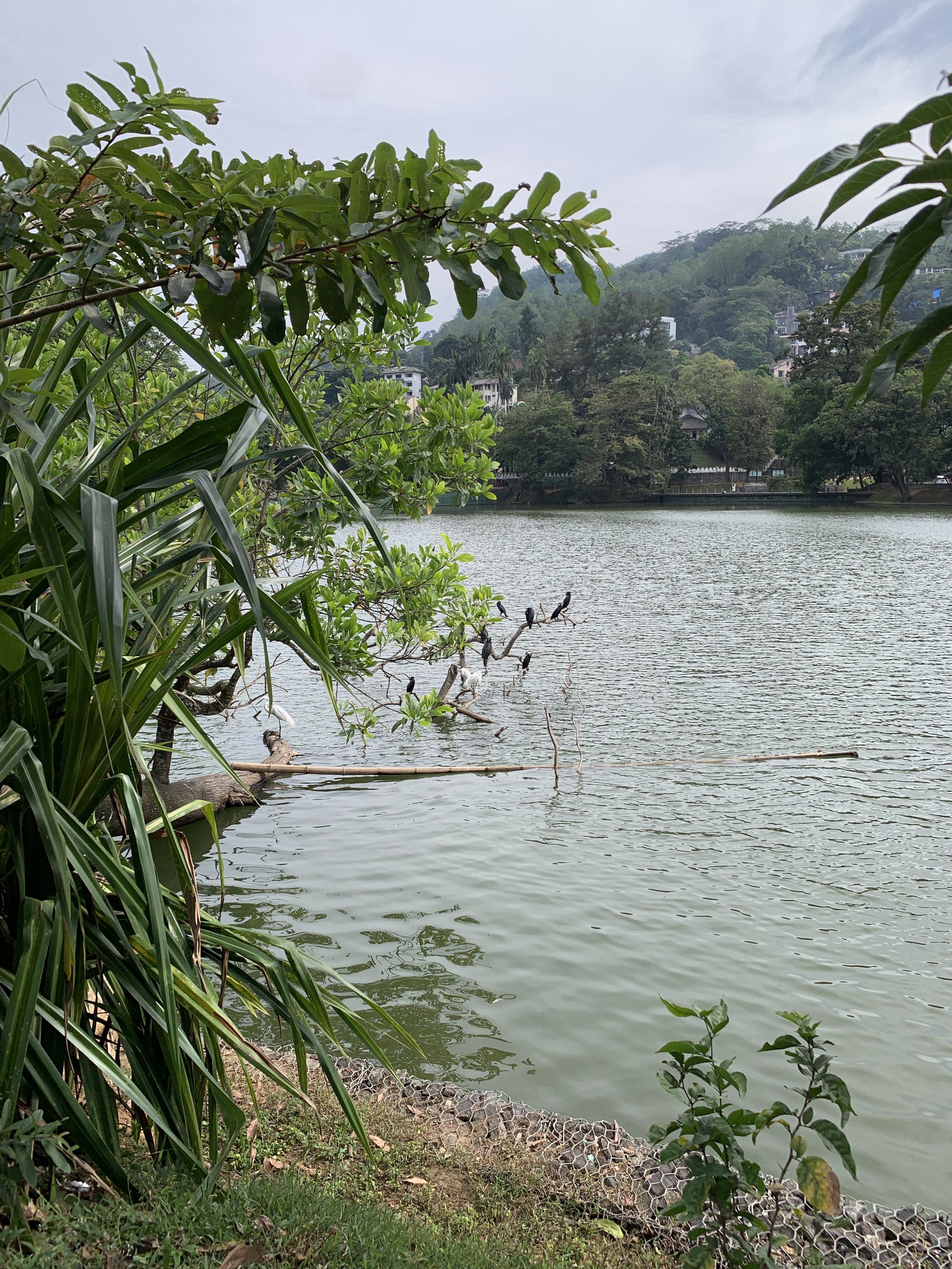 img-8270.jpg