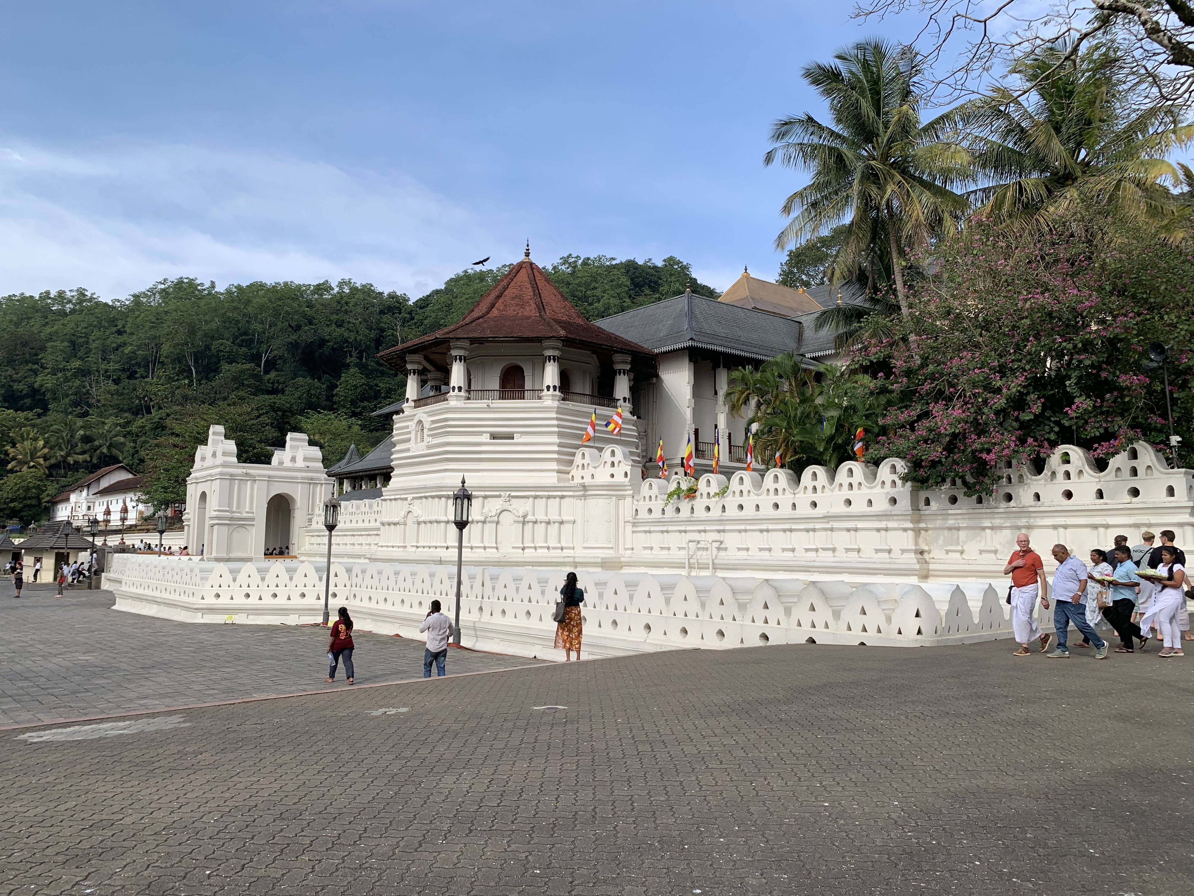 img-8277.jpg