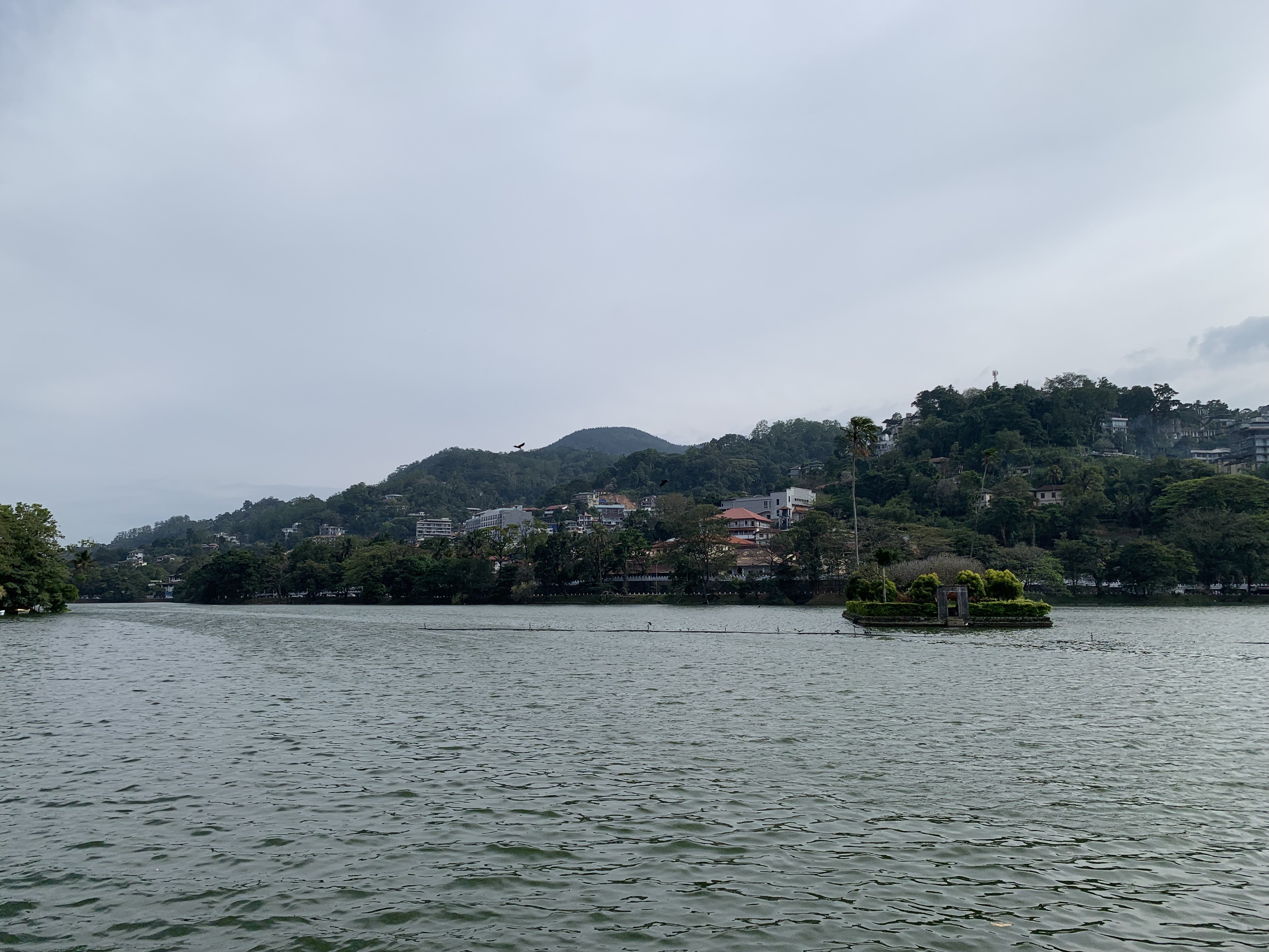 img-8278.jpg